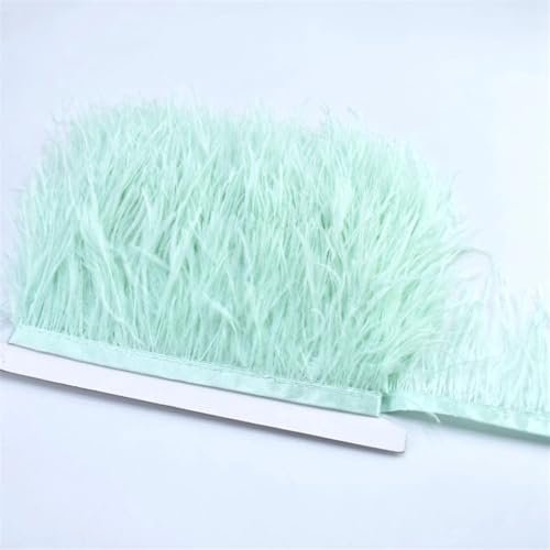 Straußenfeder-Bordüre, Fransen, mehrfarbig, für Kostüm, Hochzeit, Party, Dekoration, Minze, En8, 100 cm, 100 cm Straußenfeder-Bordüre, Fransen, mehrfarbig, für Kostüm, Hochzeit, Party, Dekoration, Minze, En8, 100 cm, 100 cm von REHJJDFD