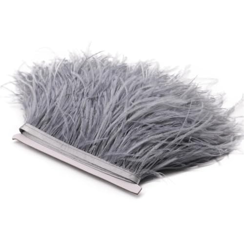 Straußenfeder-Bordüre, Spitzenband, lange Borten für Kleidung, Nähzubehör, 1 m, 8–10 cm, Hellgrau, 8–10 cm Straußenfeder-Bordüre, Spitzenband, lange Borten für Kleidung, Nähzubehör, 1 m, 8–10 cm, Hellgrau, 8–10 cm von REHJJDFD
