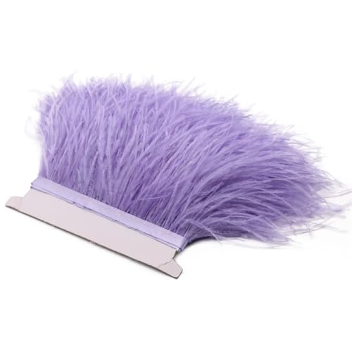 Straußenfeder-Bordüre, Spitzenband, lange Borten für Kleidung, Nähzubehör, 1 m, 8–10 cm, Hellviolett, 8–10 cm Straußenfeder-Bordüre, Spitzenband, lange Borten für Kleidung, Nähzubehör, 1 m, 8–10 cm, Hellviolett, 8–10 cm von REHJJDFD