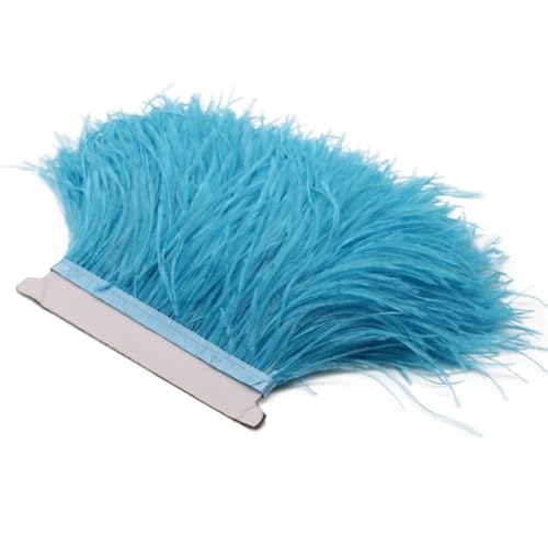 Straußenfeder-Bordüre, Spitzenband, lange Borten für Kleidung, Nähzubehör, 1 m, 8–10 cm, Himmelblau, 8–10 cm Straußenfeder-Bordüre, Spitzenband, lange Borten für Kleidung, Nähzubehör, 1 m, 8–10 cm, Himmelblau, 8–10 cm von REHJJDFD