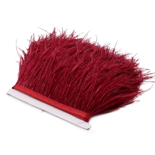 Straußenfeder-Bordüre, Spitzenband, lange Borten für Kleidung, Nähzubehör, Burgunderrot, 1 m, 8–10 cm Straußenfeder-Bordüre, Spitzenband, lange Borten für Kleidung, Nähzubehör, Burgunderrot, 1 m, 8–10 cm von REHJJDFD