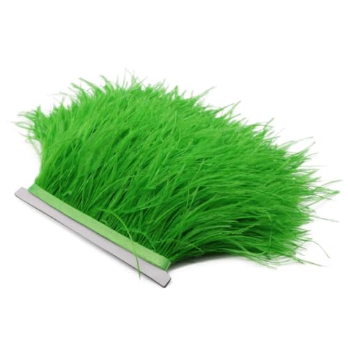 Straußenfeder-Bordüre, Spitzenband, lange Borten für Kleidung, Nähzubehör, EN8, 8-10 cm, 1 m, 8–10 cm Straußenfeder-Bordüre, Spitzenband, lange Borten für Kleidung, Nähzubehör, EN8, 8-10 cm, 1 m, 8–10 cm von REHJJDFD