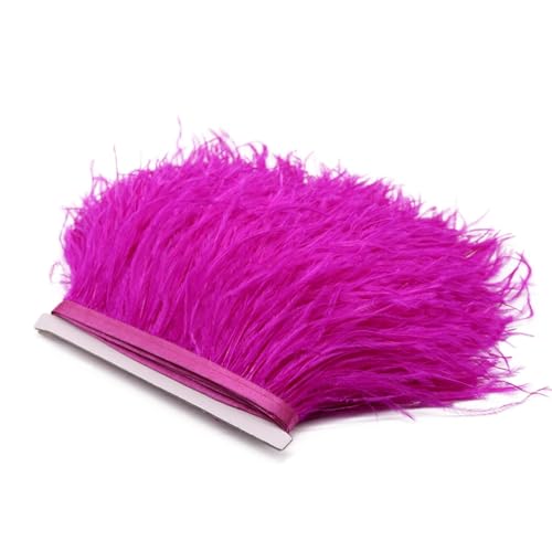 Straußenfeder-Bordüre, Spitzenband, lange Borten für Kleidung, Nähzubehör, Rose, 8–10 cm, 1 m, 8–10 cm Straußenfeder-Bordüre, Spitzenband, lange Borten für Kleidung, Nähzubehör, Rose, 8–10 cm, 1 m, 8–10 cm von REHJJDFD