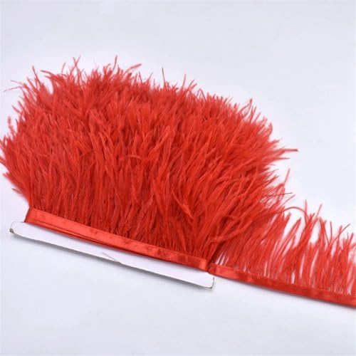 Straußenfeder-Bordüre für Handarbeiten und Handwerk, Feder, Fransenrock, Dekoration, Rot, 10 m, 8–10 cm Straußenfeder-Bordüre für Handarbeiten und Handwerk, Feder, Fransenrock, Dekoration, Rot, 10 m, 8–10 cm von REHJJDFD