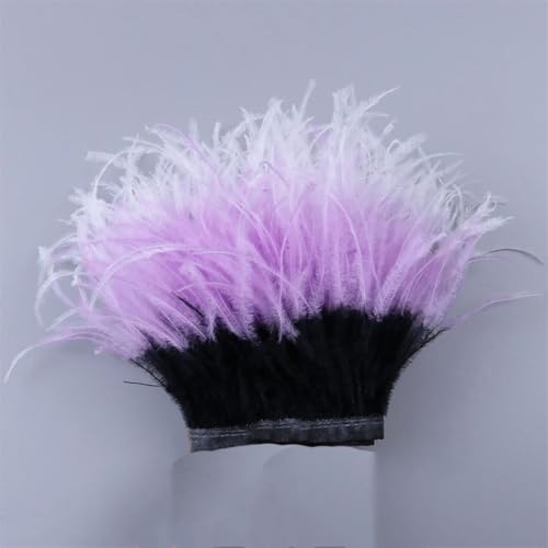 Straußenfeder-Bordüre mit Farbverlauf, 10–15 cm, natürliches Band für Party, Dekoration, Kleid, Accessoires, Handwerk, 5, 10–15 cm Straußenfeder-Bordüre mit Farbverlauf, 10–15 cm, natürliches Band für Party, Dekoration, Kleid, Accessoires, Handwerk, 5, 10–15 cm von REHJJDFD