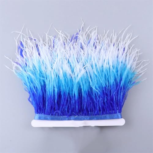 Straußenfeder-Bordüre mit Farbverlauf, 10–15 cm, natürliches Band für Party-Dekoration, Kleiderzubehör, Basteln, 12, 10–15 cm von REHJJDFD