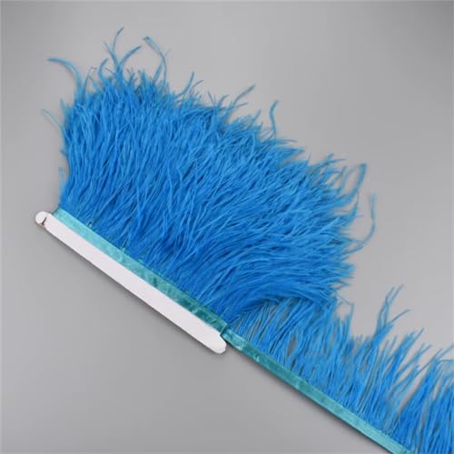 Straußenfedern, Zubehör für Kleidung, Dekoration, flauschige Federn, bunt, 10–15 cm, 10 - 15 cm, 24 Stück Straußenfedern, Zubehör für Kleidung, Dekoration, flauschige Federn, bunt, 10–15 cm, 10 - 15 cm, 24 Stück von REHJJDFD