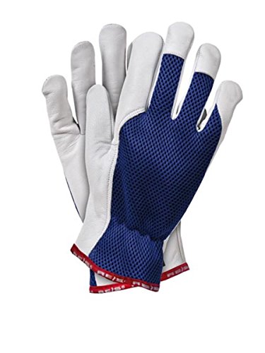 12 Paar Arbeitshandschuhe Schutzhandschuhe verstärkt mit Rindsleder Handschuhe aus blauem Netzstoff GR. 10 12 Paar Arbeitshandschuhe Schutzhandschuhe verstärkt mit Rindsleder Handschuhe aus blauem Netzstoff GR. 10 von REIS