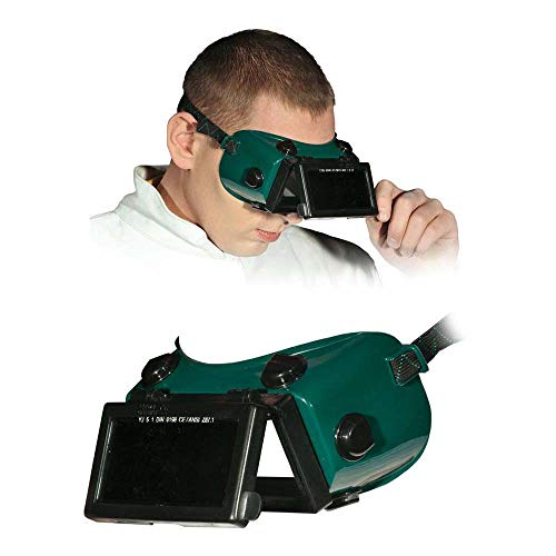 Reis GOG-RECTANGLE Schutzbrillen für Schweißer, Grün-Schwarz, Uni Größe, 10 Stück von REIS
