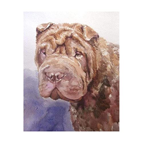 REYHS Malen nach Zahlen Erwachsene Kinder Tier-Shar-Pei-Hund Acrylfarbe und 3 Nylonbürsten mit Holzgriff REYHS Malen nach Zahlen Erwachsene Kinder Tier-Shar-Pei-Hund Acrylfarbe und 3 Nylonbürsten mit Holzgriff von REYHS