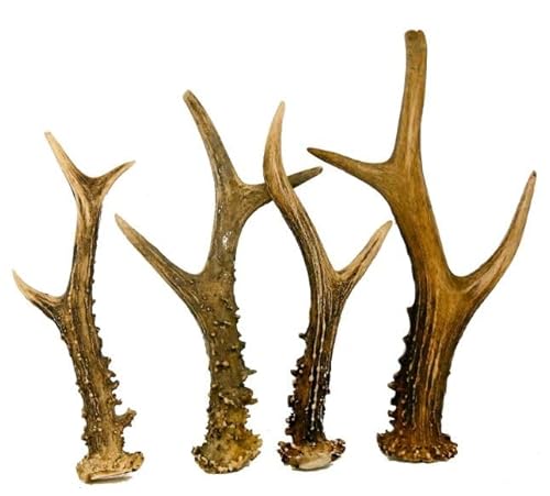 RF - Deer Natürliches Rehbockgeweih, Kleiderhaken, Möbelgriff, Besteckgriff, Hundespielzeug, Umweltfreundliche Verpackung, Dekoration aus Geweihen, Angebot betrifft 1 kg, 11-20 Stück, 12-23 cm RF - Deer Natürliches Rehbockgeweih, Kleiderhaken, Möbelgriff, Besteckgriff, Hundespielzeug, Umweltfreundliche Verpackung, Dekoration aus Geweihen, Angebot betrifft 1 kg, 11-20 Stück, 12-23 cm von RF - Deer