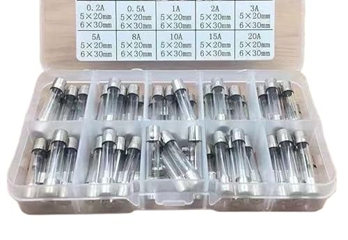 Werkzeugsatz, Glasröhrensicherungs-Mischkasten 5x20/6 * 30mm0,5A-30A 250V Sicherungsröhren mit 10 Spezifikationen. von RFSHOPQW