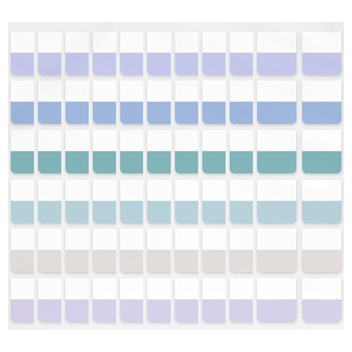 RGYBAO Haftnotizen, Indexe, Seitenmarkierungen, kleine Datei-Tabs, Lesezeichen, leuchtende Farben, Seitenindexe, Aufkleber, beschreibbare Etiketten von RGYBAO