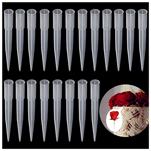 RHBHY 20Stk Blumenröhrchen für Kuchen Dekorieren Blumen Röhrchen für Blumen in Torten Oder Kuchen, Einfaches Anordnen von Blumen für Kuchendekoration 70 x 9 mm RHBHY 20Stk Blumenröhrchen für Kuchen Dekorieren Blumen Röhrchen für Blumen in Torten Oder Kuchen, Einfaches Anordnen von Blumen für Kuchendekoration 70 x 9 mm von RHBHY