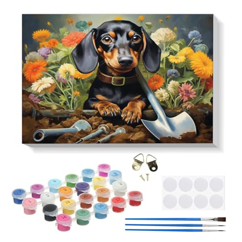 RICUVED Dackel Hund Malen Nach Zahlen Erwachsene,Tiere Paint by Numbers Malen Nach Zahlen Kinder mit 20x30cm Rahmen, DIY mit Pinseln und Acrylfarben Handgemalt Ölgemälde Leinwand für Home Deco RICUVED Dackel Hund Malen Nach Zahlen Erwachsene,Tiere Paint by Numbers Malen Nach Zahlen Kinder mit 20x30cm Rahmen, DIY mit Pinseln und Acrylfarben Handgemalt Ölgemälde Leinwand für Home Deco von RICUVED