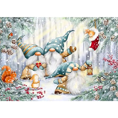 RICUVED Gnomes Diamond Painting Set,5D Diamant Painting Bilder Erwachsene Weihnachten Diamond Painting Kinder, Full Drill Xmas Diamant Malerei Bilder Winter Diamond Painting für Home Dekor 30x40cm von RICUVED