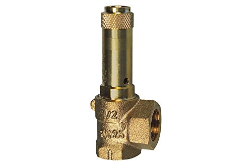 RIEGLER 105613-221.06-3,0 Eck-Sicherheitsventil, Flüssigkeiten, G 1 1/4 Ansprechdruck 3 bar, 1Stk RIEGLER 105613-221.06-3,0 Eck-Sicherheitsventil, Flüssigkeiten, G 1 1/4 Ansprechdruck 3 bar, 1Stk von Riegler
