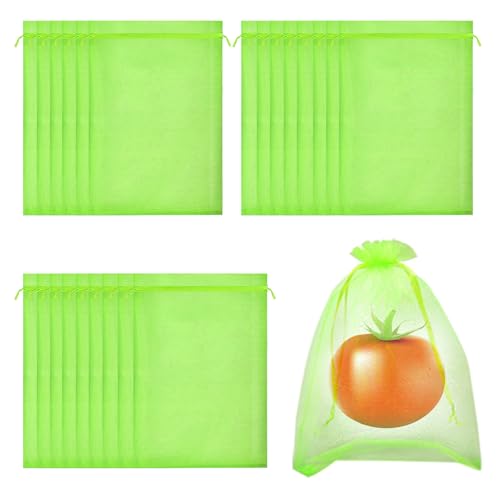 Traubenschutzbeutel, RIFNY 50 Stück 10x15cm Weintrauben Schutzbeutel mit Zugband, Obstnetz Insektenschutz Organzasäckchen für Garten Schützen Erdbeer Heidelbeer Tomate vor Vögel Insekten, Grün Traubenschutzbeutel, RIFNY 50 Stück 10x15cm Weintrauben Schutzbeutel mit Zugband, Obstnetz Insektenschutz Organzasäckchen für Garten Schützen Erdbeer Heidelbeer Tomate vor Vögel Insekten, Grün von RIFNY