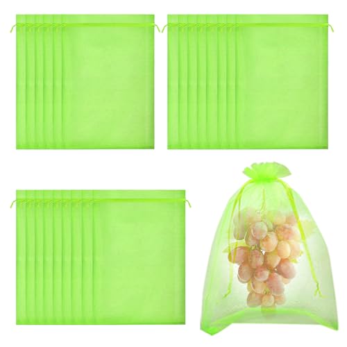 Traubenschutzbeutel, RIFNY 50 Stück 20x30cm Weintrauben Schutzbeutel mit Zugband, Obstnetz Insektenschutz Organzasäckchen für Garten Schützen Erdbeer Heidelbeer Tomate vor Vögel Insekten, Grün Traubenschutzbeutel, RIFNY 50 Stück 20x30cm Weintrauben Schutzbeutel mit Zugband, Obstnetz Insektenschutz Organzasäckchen für Garten Schützen Erdbeer Heidelbeer Tomate vor Vögel Insekten, Grün von RIFNY