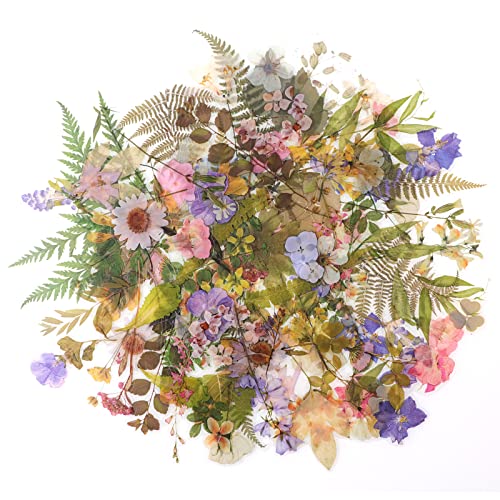 RISYPISY 160 Stück Blumen Scrapbooking Aufkleber Set, Pflanzen Dekorative Aufkleber Vintage für Heimwerker, Planer, Bullet Journals, Fotoalbum RISYPISY 160 Stück Blumen Scrapbooking Aufkleber Set, Pflanzen Dekorative Aufkleber Vintage für Heimwerker, Planer, Bullet Journals, Fotoalbum von RISYPISY