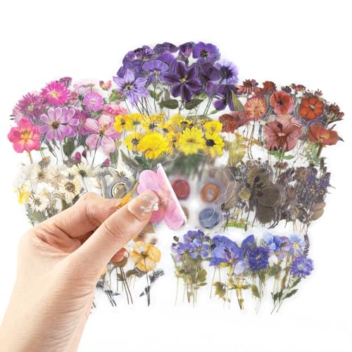 RISYPISY 320 Blumen- und Wachssiegel Aufkleber PET Natürliche Botanische Sticker für Scrapbooking, Basteln, Umschläge, Einladungen und Tagebücher RISYPISY 320 Blumen- und Wachssiegel Aufkleber PET Natürliche Botanische Sticker für Scrapbooking, Basteln, Umschläge, Einladungen und Tagebücher von RISYPISY