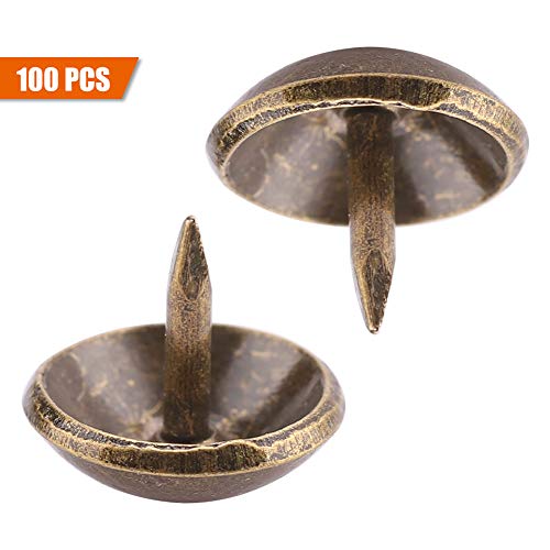100 Stück Verdickten Eisennägel - Robuste und Langlebige Verbindungselemente für Möbelholztür, Sofa, Tür, Möbeldekoration (10 * 9mm) von RIZGHWOY