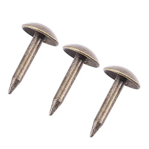 100 Stück Verdickten Eisennägel - Robuste und Langlebige Verbindungselemente für Möbelholztür, Sofa, Tür, Möbeldekoration (6 * 12 mm) von RIZGHWOY