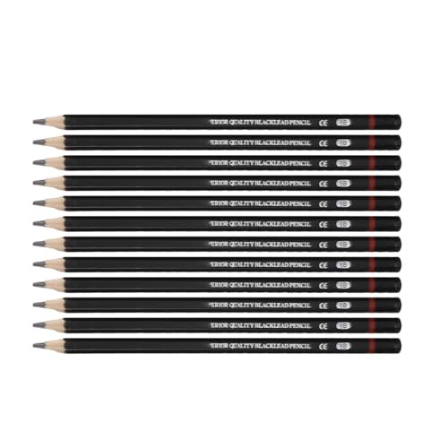 RIZGHWOY Premium Double End -Bleistifte Zum Schreiben von Zeichnungskorrigierungen Ergonomisches Design für Komfortable Handhabung (8B -2H skizzieren Stifte) von RIZGHWOY