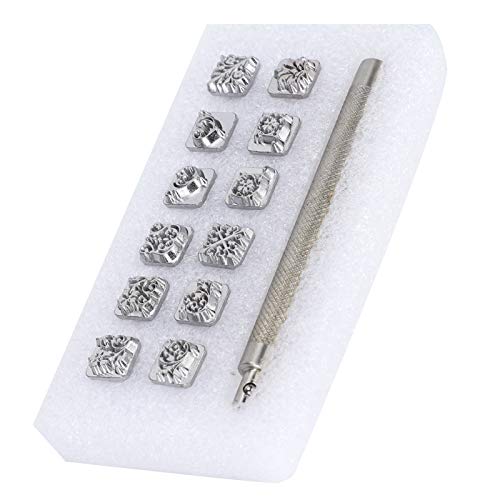 RIZGHWOY Punch Tool Lederhandwerk Starke Auswirkung Kraft 12pcs Stempel Gemüse Leder 1PC Griff für Profis und Hobbyisten (#3) von RIZGHWOY