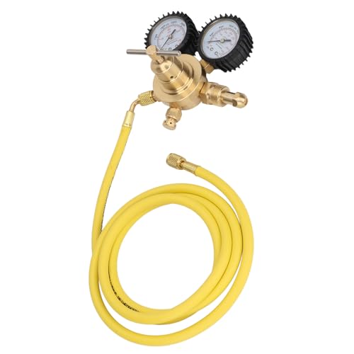 Stickstoffregler Niedriger Druckmesser Zum Schweißen und Schneiden von Geräten in Medizinischen Experimenten Stickstoffregler Niedriger Druckmesser Zum Schweißen und Schneiden von Geräten in Medizinischen Experimenten von RIZGHWOY