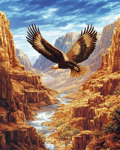 RKFLGEW 14CT Adler Tier Stickbilder Erwachsene Canyon-Landschaft Zählmuster Aus Stoff,Kreuzstich,Diy-Kunst,Handarbeiten,Sticksets Mit Scherenzubehör 30x40 cm von RKFLGEW