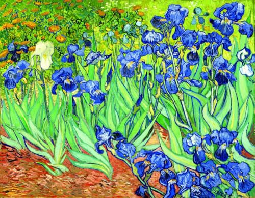 RKFLGEW 14CT Kreuzstich Set Vorgedruckt 《Iris》 Gestempeltes Kreuzstichset，Ölgemälde Von Van Gogh，Vorgedrucktes Kreuzstichset Für Erwachsene Und Anfänger，Stickset，Wandkunst，Heimdekoration 50x70cm von RKFLGEW