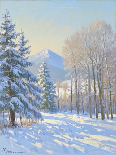 RKFLGEW DIY Perlenstickerei-Set Für Erwachsene Ölgemälde Schneewald Diy-Perlenstickerei-Set Für Anfänger，Handarbeitsset，Nadelstichmuster，Heimdekoration 50x70cm von RKFLGEW