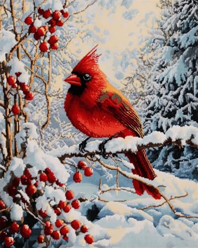 RKFLGEW Diy-Stickerei-Set Aus Rocailles-Perlen，Vögel Im Schnee，Perlen-Stickerei-Set，Fantasie-Tiere，Kreuzstich，Nadelspitze，Handarbeit，Gobelin-Set，Perlen-Stickmuster 3D 30x40cm von RKFLGEW