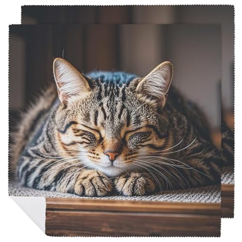 Stoffservietten, weich, saugfähig, Tischservietten, Set mit 2 Stück, langlebige Dinnerservietten, Katze, schlafend, wiederverwendbar, waschbar, Küchen-Platzsets für Partys, Restaurant, Mittagessen Stoffservietten, weich, saugfähig, Tischservietten, Set mit 2 Stück, langlebige Dinnerservietten, Katze, schlafend, wiederverwendbar, waschbar, Küchen-Platzsets für Partys, Restaurant, Mittagessen von RKJVB