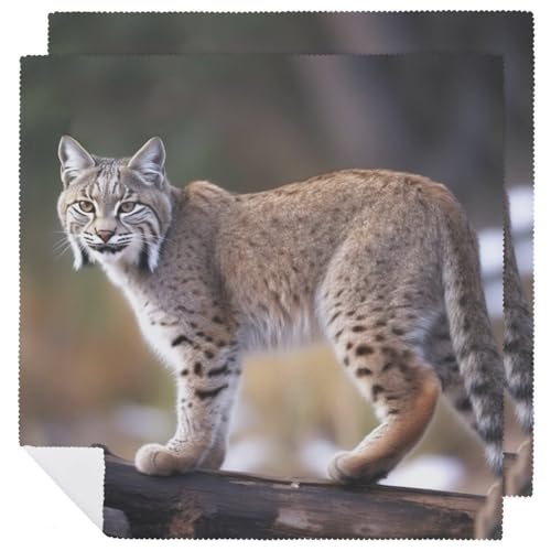 Stoffservietten, weich, saugfähig, Tischservietten, Set mit 2 Stück, langlebige Dinnerservietten, Wildbobcats, wiederverwendbar, waschbar, Küchen-Tischsets für Partys, Restaurant, Mittagessen Stoffservietten, weich, saugfähig, Tischservietten, Set mit 2 Stück, langlebige Dinnerservietten, Wildbobcats, wiederverwendbar, waschbar, Küchen-Tischsets für Partys, Restaurant, Mittagessen von RKJVB
