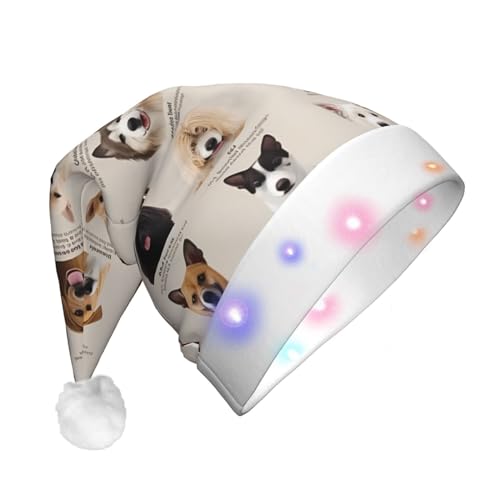 RLDOBOFE Plüsch-Weihnachtsmütze mit LED-Lichtern, Hunderasse, Weihnachtsmütze, beleuchtet, für Erwachsene von RLDOBOFE