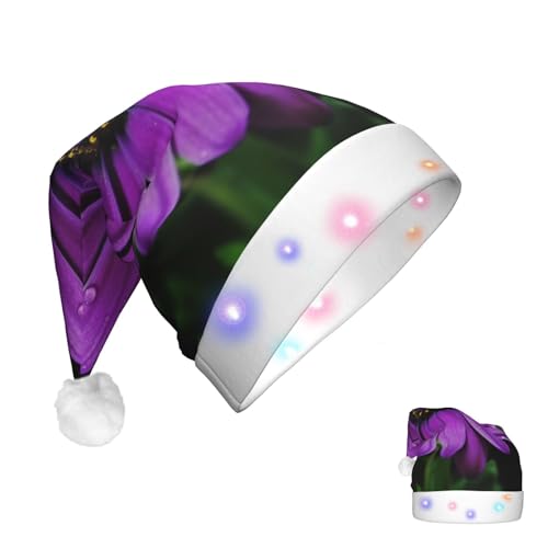 RLDOBOFE Weihnachtsmütze mit beleuchteten Weihnachtsmützen für Erwachsene, violette Gänseblümchen, Weihnachtsmannmütze mit LED-Lichtern, Weihnachtsdekorationen von RLDOBOFE