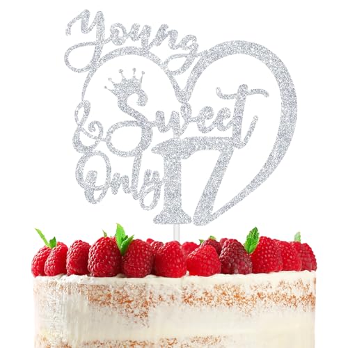 RLXPT Happy 17th Birthday Cake Topper, Young Sweet & Only 17 Cake Decorations, Dancing Queen 17, 17th Birthday Party Decorations Silver Glitter RLXPT Happy 17th Birthday Cake Topper, Young Sweet & Only 17 Cake Decorations, Dancing Queen 17, 17th Birthday Party Decorations Silver Glitter von RLXPT