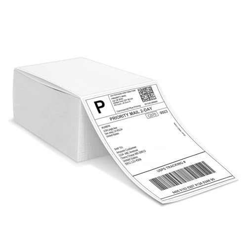 500 Blatt (2×250Blatt) 4" x 6" Versandetiketten Selbstklebend, 100mm × 150mm Thermo Etiketten, BPA-freie adressetiketten selbstklebend für die meisten Labeldrucker, Ideal für Package Tracking. von RMIVEGLIA