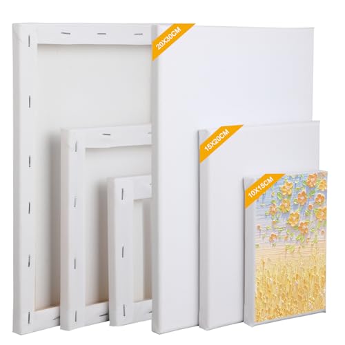 6-teiliges Leinwand zum Bemalen, Leinwand Set für kreative Werke, Hochwertige Canvas Painting für präzise Details. Perfekt als Leinwände für Acrylfarben, Öl- & Gouachemalerei. von RMIVEGLIA