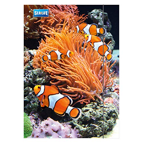 RNK 4512 Zeichenmappen, Zeichenunterlagen A3 Sea Life RNK 4512 Zeichenmappen, Zeichenunterlagen A3 Sea Life von RNKVERLAG