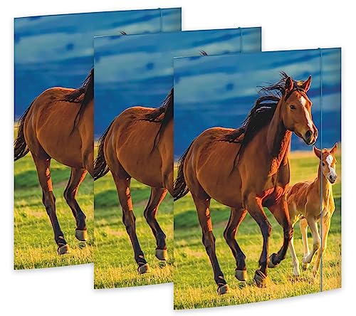 RNKVERLAG 45353-3 - Zeichenmappe Free Horses 310 x 440 mm, 3 Stück, DIN A3, mit Gummizugverschluss von RNKVERLAG