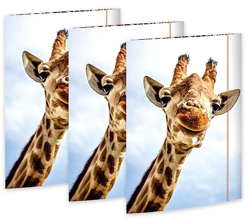 RNK 45359-3 - Zeichenmappe Safari 310 x 440 mm, 3 Stück, DIN A3, mit Gummizugverschluss RNK 45359-3 - Zeichenmappe Safari 310 x 440 mm, 3 Stück, DIN A3, mit Gummizugverschluss von RNKVERLAG