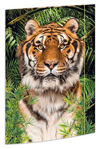 RNKVERLAG 45367 - Zeichenmappe Tiger 310 x 440 mm, Dokumentenmappe für DIN A3, mit Gummizugverschluss, 1 Stück von RNKVERLAG