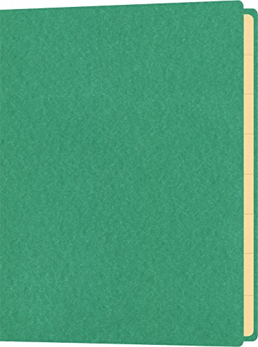 RNKVERLAG 4561-5 - Mappe mit Gummizug für Inhalte bis DIN A5, 18 x 25 cm, mit 10 Registerblättern, grün, 1 Stück von RNKVERLAG