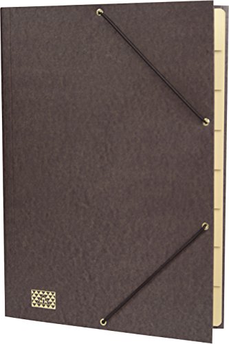 RNKVERLAG 4616-8 - Konferenz- und Ordnungsmappe mit Gummizug, Maße (BxH) 245 x 340 mm, bis DIN A4, 9 Fächer, braun, 1 Stück von RNKVERLAG