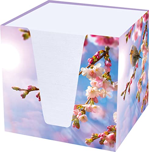 RNKVERLAG 46736 - Notizklotz Rotkehlchen mit 900 Blatt, 92 x 92 x 92 mm, 1 Stück RNKVERLAG 46736 - Notizklotz Rotkehlchen mit 900 Blatt, 92 x 92 x 92 mm, 1 Stück von RNKVERLAG