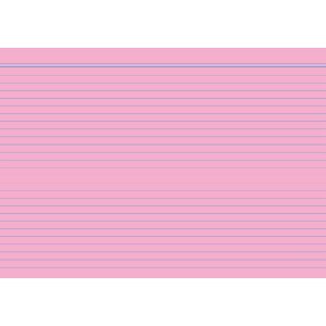 RNK Karteikarten A5 liniert rosa VE=100 Stück RNK Karteikarten A5 liniert rosa VE=100 Stück von RNK - Verlag