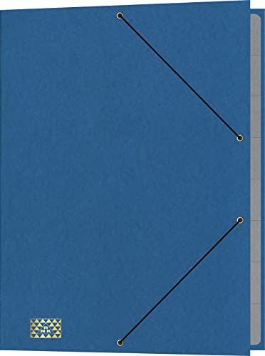 RNKVERLAG 4616-4 - Konferenz- und Ordnungsmappe mit Gummizug, Maße (BxH) 245 x 340 mm, bis DIN A4, 9 Fächer, blau, 1 Stück von RNKVERLAG